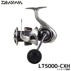 �_�C��(Daiwa) 25 �J���f�B�A LT5000-CXH �X�s�j���O���[��