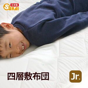 { lw {[ ~zc ANtBbgȎgp n WjATCYh_j R hL z HȎgp ss2506y~zc h_j R hL z z