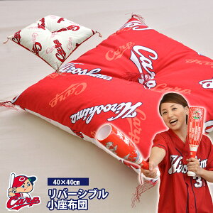 �L�����m�J�[�v �J�[�v �O�b�Y �����z�c 40×40cm532P26Feb16