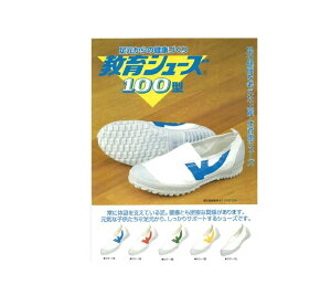 V[Y100^ 㗚 p@wZpV[Y ̈ٗpV[Y lɂ₳Aɂ₳XN[V[Y(21.0cm`24.0cm)(,,,,)