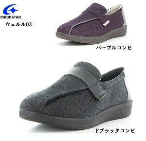 MoonStar([X^[)EF03 fBX }WbNJWAV[Y L4E ҂̉ɂ鑫֐߂Ђ֐߂̋@\ቺ