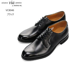 BA J~[m via cammino VC8046 Y {v OHv[gDhXgbhrWlXV[Y ㎿Ȗ{vgp ՂɂœKł