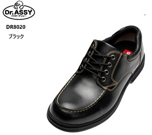 Dr.ASSY(hN^[AbV[)DR8020 JVEH[LOrWlXJWAV[Y Y {v y L4EChXg 3DJbvC\[萫ƕ₷T|[g W[Y`