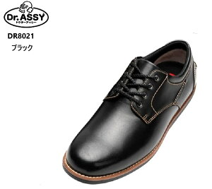 Dr.ASSY(hN^[AbV[)DR8021 v[gDEH[LOrWlXJWAV[Y Y {v y L3EChXgł 3DJbvC\[萫ƕ₷T|[g I