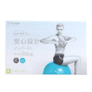 バランスボール 体幹トレーニングの通販 価格比較 価格 Com