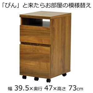 ^ fXN S TChfXN LX^[t 39.5@s47@73cm@_[NuE