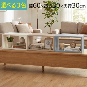 �_�V�F�^�_ �������� �^�ς��box �J���[�{�b�N�X 1�� 2�� 3�� 4�� ��60�@���s��30�@����30cm �I�[�v�����b�N�V�X�e�� �f�B�X�v���C���b�N �ؐ� ��� �A�C�{���[ �A�[�����h�x�[�W�� �O���C OPR603