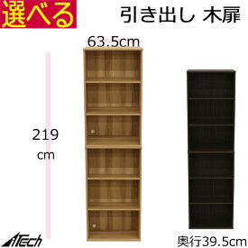 ヴァルト 木製 キャビネット 木扉 配線コート穴付　幅63.5×奥行き39.5×高さ219cm　ダークブラウン ナチュラル VAB-2196