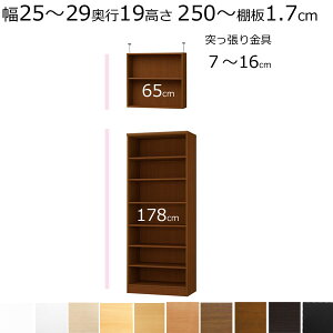本棚・書棚・壁面収納 天井 突っ張り オーダーメイド 幅25〜29 奥行き19(スリム) 高さ250〜259cm (棚板1.7cm厚標準)