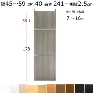 本棚・書棚・壁面収納・扉付 天井 突っ張り オーダーメイド 幅45〜59 奥行き40cm(ミディアム) 高さ241〜250cm(棚板2.5cm厚タフ)