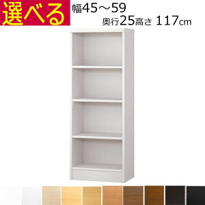 {IEI@I[_[Ch@45`59@s25iA4ZӃTCYj@117cm( I1.7܂2.5cmj