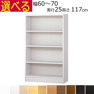 {IEI@I[_[Ch@60`70@s25iA4ZӃTCYj@117cm( I1.7܂2.5cmj
