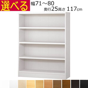 {IEI@I[_[Ch@71`80@s25iA4ZӃTCYj@117cm( I2.5cm^tj