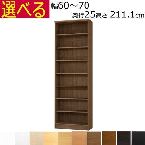 {IEI@I[_[Ch@60`70@s25iA4ZӃTCYj@211.1cm( I1.7܂2.5cmj