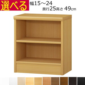 {IEI@I[_[Ch@15`24@s25iA4ZӃTCYj@49cm( I1.7܂2.5cmj