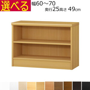 {IEI@I[_[Ch@60`70@s25iA4ZӃTCYj@49cm( I1.7܂2.5cmj