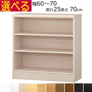 {IEI@I[_[Ch@60`70@s25iA4ZӃTCYj@70cm( I1.7܂2.5cmj