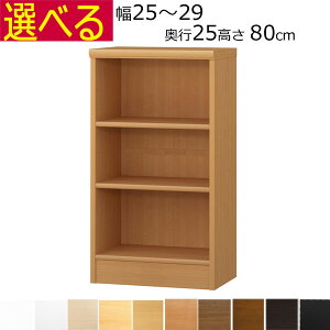 {IEI@I[_[Ch@25`29@s25iA4ZӃTCYj@80cm( I1.7܂2.5cmj