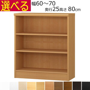 {IEI@I[_[Ch@60`70@s25iA4ZӃTCYj@80cm( I1.7܂2.5cmj