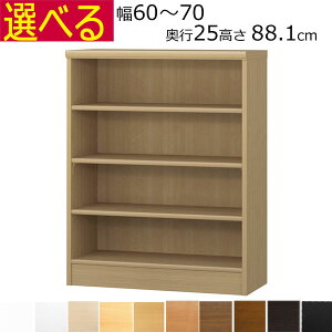 {IEI@I[_[Ch@60`70@s25iA4ZӃTCYj@88.1cm( I1.7܂2.5cmj