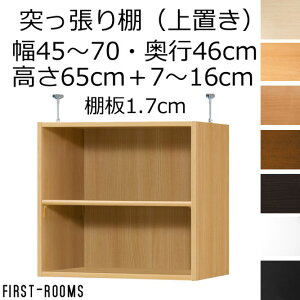 ��u���i�{�I�E���I�j�@�I�[�_�[���C�h�@��45�`70�@���s��46�i���[�W�j�@����65cm(�I��1.7cm���W��)