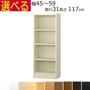 {IEI@I[_[Ch@45`59@s31iM[j@117cm( I1.7܂2.5cm)