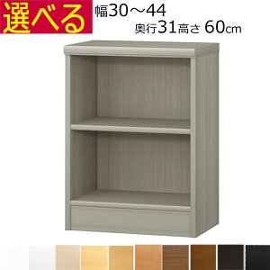 {IEI@I[_[Ch@30`44@s31iM[j@60cm( I1.7܂2.5cm)