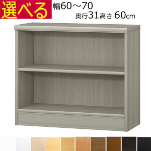 {IEI@I[_[Ch@60`70@s31iM[j@60cm( I1.7܂2.5cm)