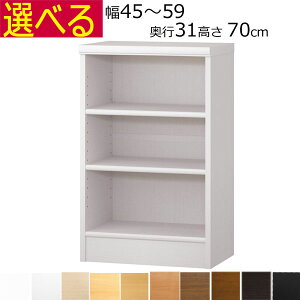 {IEI@I[_[Ch@45`59@s31iM[j@70cm( I1.7܂2.5cm)