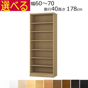 {IEI@J[{bNX I[_[Ch@60`70@s40i~fBAj@178cm( I1.7܂2.5cmj