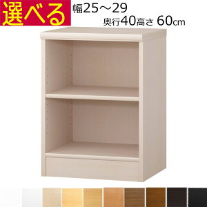 �{�I�E���I�@�J���[�{�b�N�X �I�[�_�[���C�h�@��25�`29�@���s��40cm�i�~�f�B�A���j�@����60cm( �I��1.7�܂���2.5cm���j