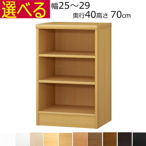 {IEI@J[{bNX@I[_[Ch@25`29@s40i~fBAj@70cm( I1.7܂2.5cmj