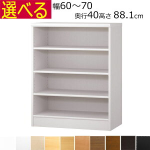 {IEI@J[{bNX I[_[Ch@60`70@s40i~fBAj@88.1cm( I1.7܂2.5cmj