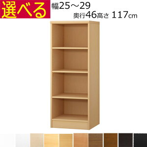 {IEI@I[_[Ch@25`29@s46i[Wj@117cm( I1.7܂2.5cm)