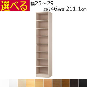 {IEI@I[_[Ch@25`29@s46i[Wj@211.1cm( I1.7܂2.5cm)