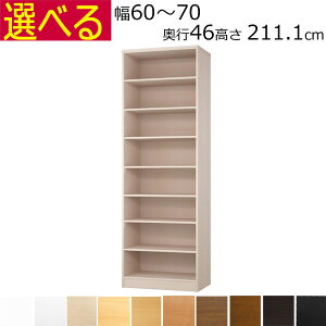 {IEI@I[_[Ch@60`70@s46i[Wj@211.1cm( I1.7܂2.5cm)