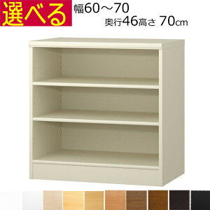 {IEI@I[_[Ch@60`70@s46i[Wj@70cm( I1.7܂2.5cm)