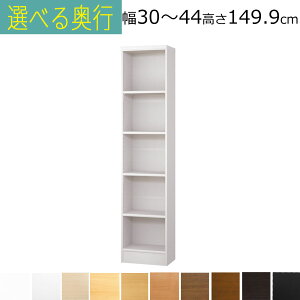 �{�I�E���I�@�I�[�_�[���C�h�@��30�`44�@���s��19 25 31 40 46cm ����149.9cm( �I��1.7�܂���2.5cm���j�I�I�[�_�[ �I�[�_�[�Ƌ� ���^�{�I �����܎��[ 25cm A4�t�@�C�����[