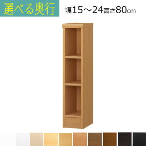 ���^ �{�I �J���[�{�b�N�X �I�[�_�[���C�h�@��15�`24�@���s��19 25 31 40 46cm�j����80cm( �I��1.7�܂���2.5cm���j�I�I�[�_�[ �I�[�_�[�Ƌ� ���^�{�I �����܎��[ 25cm A4�t�@�C�����[
