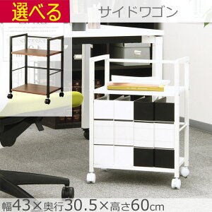 TChS Lb`S LX^[t uE zCg 43×s30.5×60cm