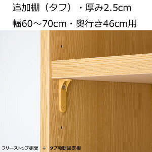 ǉI@I[_[Ch@60`70@s46i[Wj I2.5cm(^t)