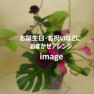 ܂AW 5,500~yDys΁ELE͑(̑̋͑L)zyDyȊÓwz[著]({X)xŕʓrLz