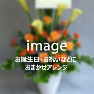 ܂AW11,000~yDys΁ELE͑(̑̋͑L)zyDyȊÓwz[著]({X)xŕʓrLzyyΉ_kCzyyΉ_