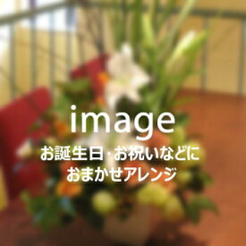 おまかせアレンジ8,800円【札幌市白石・豊平・中央区は送料無料(その他の区は送料有)】【札幌以外は『宅配便[特定送料](日本郵便)』で別途送料有】