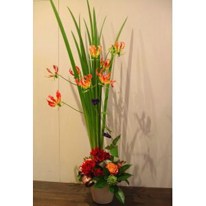 wɂ悮OIT̃AWxyDyswz[著]x͑zyDyȊÓwz[著]({X)xŕʓrLz