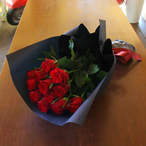 ʂȓɑyԃo12{̉ԑzyDyswz[著]x͑zyDyȊÓwz[著]({X)xŕʓrLz