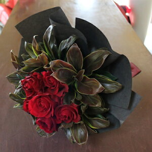 w[YEbhxyDys΁ELE͑(̑̋͑L)zyDyswz[著]x͑zyDyȊÓwz[著]({X)xŕʓrL