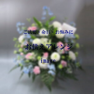 AW5,500~yDys΁ELE͑(̑̋͑L)zyDyȊÓwz[著]({X)xŕʓrLzy/kCz