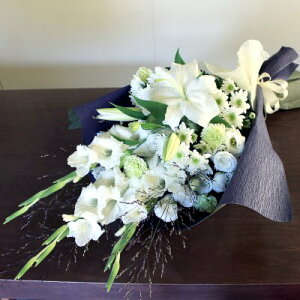 wԑExyDys΁ELE͑(̑̋͑L)zyDyȊÓwz[著]({X)xŕʓrLz