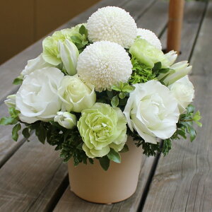 AWwEhEzCgxyDys΁ELE͑(̑̋͑L)zyDyȊÓwz[著]({X)xŕʓrLzy/kCz